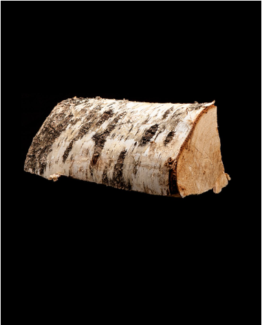 Capture-decran-2021-12-30-a-04.17.47.png 15 sacs de bois de bouleau 100 % sec de 8 kg – 25 cm